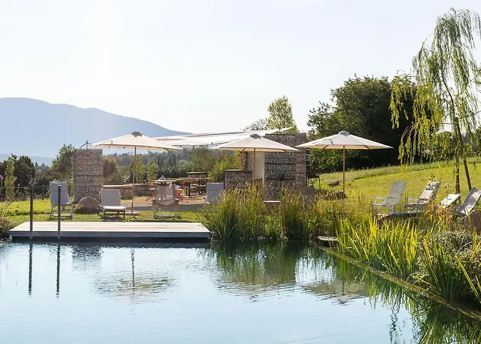 Casa Viva Bed & Breakfast Marciaga photo