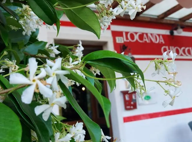 Locanda Chiocciola Quero photo