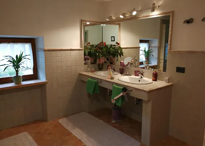 B&B Pontesello 콜로니아 아이 콜리 사진