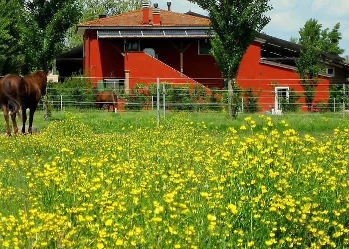 Agriturismo Adriano Pedretti Badia Polesine photo