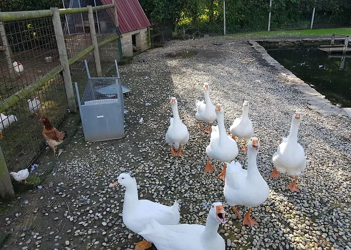 Hotel Ca' Amedeo Castelfranco Veneto Foto