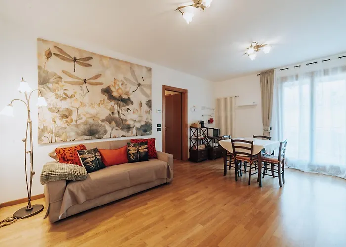 Ohana Montecchio Maggiore foto