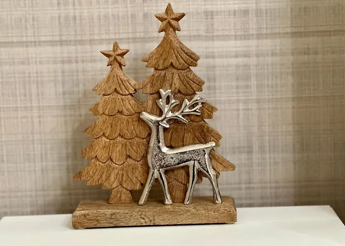 fotos do Snowflake Suite Elegante Appartamento A Tema Natale In Centro A Chioggia