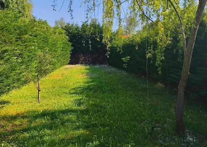 Mazzorno Casa Delle Libellule 빌라 사진